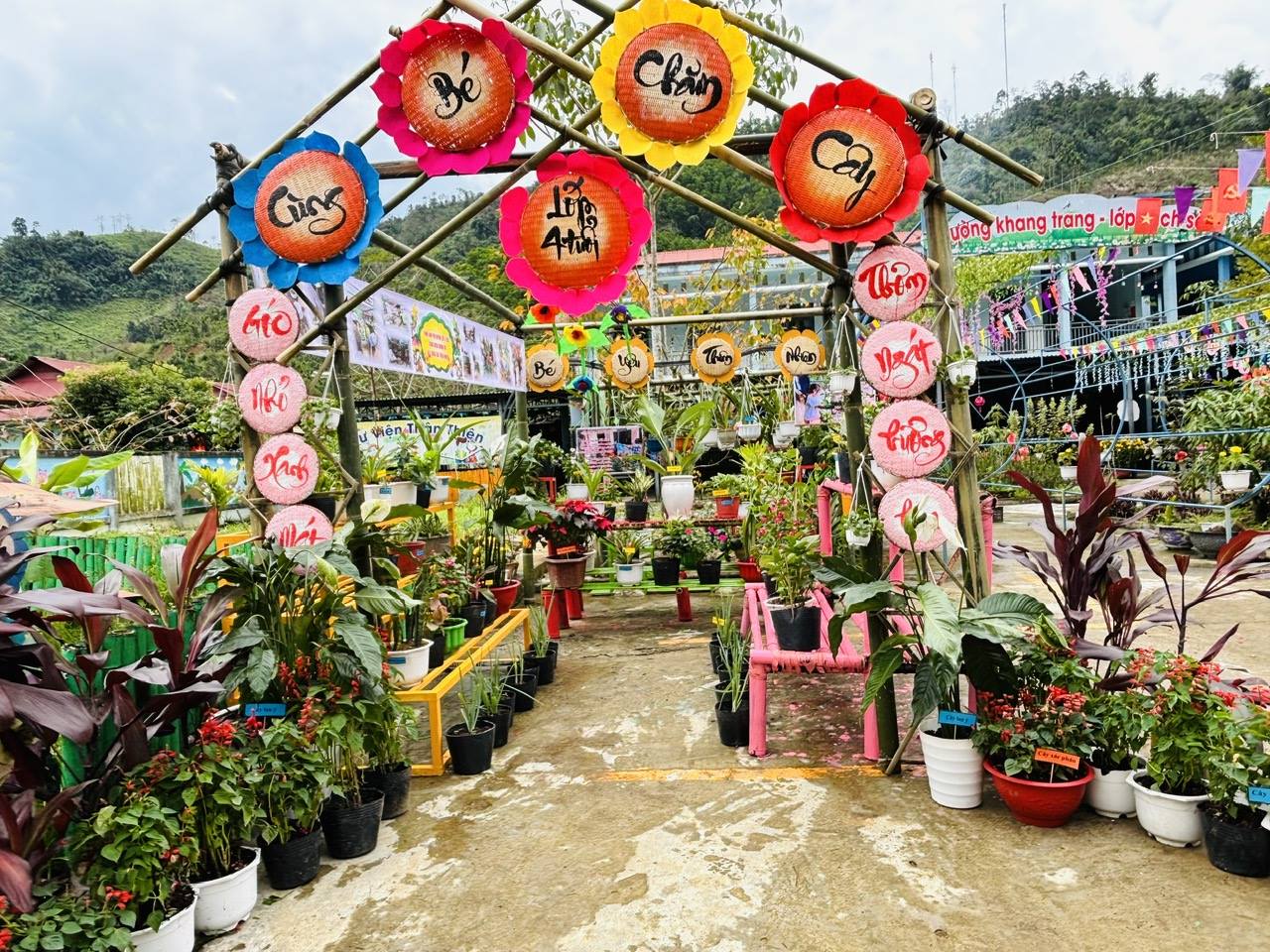 anh tin bai